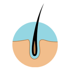 Electrolysis Hair Removal